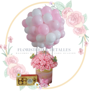 Box 50 Rosas de Jabon, Nacimiento.