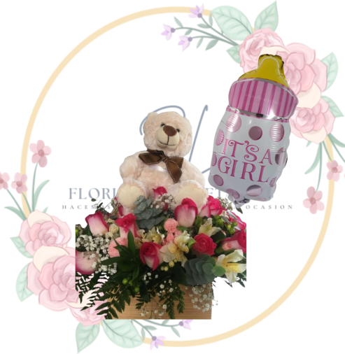 bear Nacimiento Bear Girl