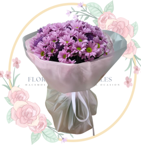 RAMOS (11) Ramo de Margaritas Lilas