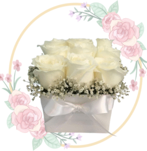 Caja de 9 Rosas Importadas