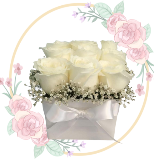 funebre Caja de 9 Rosas Importadas