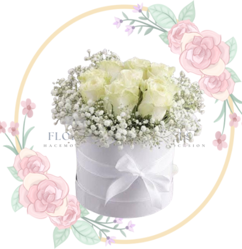 FUNEB Box Condolencias