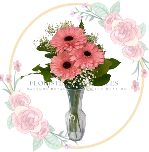 florero Florero de 3 Gerberas