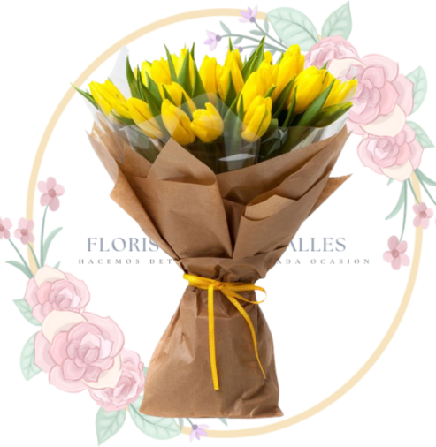 RAMOS (20) Ramo 30 Tulipanes