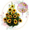Arreglos 12 Girasoles y Globo Metalizado