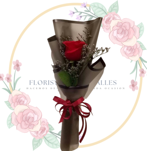 rosa arreg Rosa Arreglada