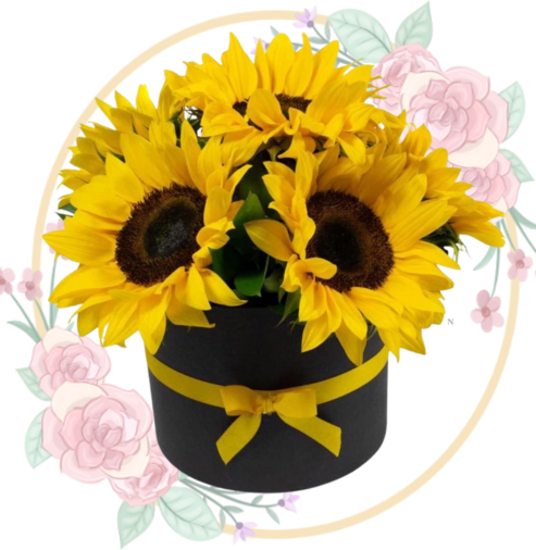 BOXGIRA Box 6 Girasoles