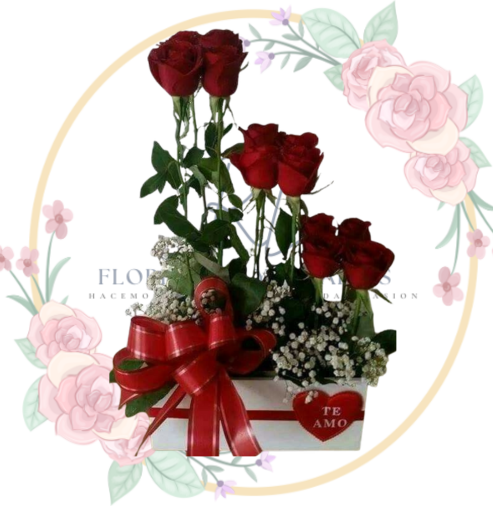 arreglos Impresionante Arreglo 12 Rosas