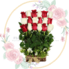 Arreglo 18 Rosas Bicolor