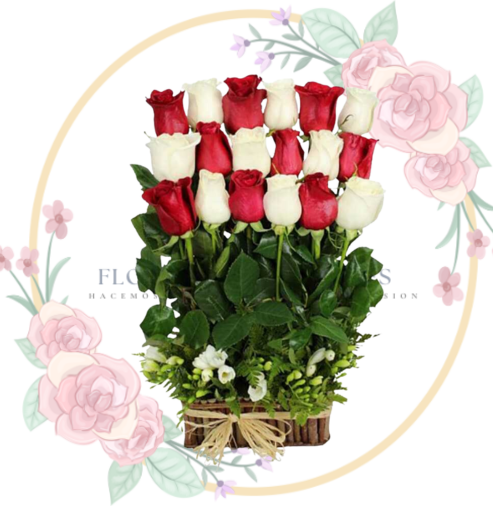 ARREGLO Arreglo 18 Rosas Bicolor