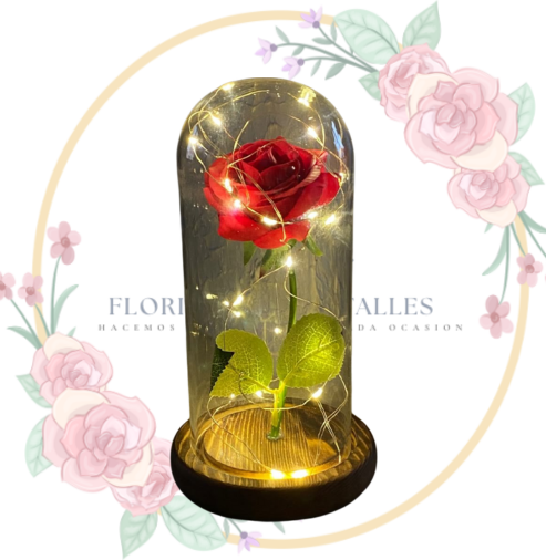 ROSAPRESERV Rosa Preservada Roja