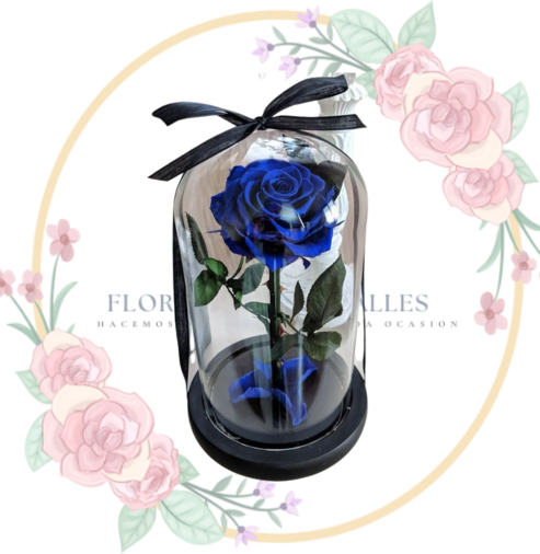 rosa Rosa Preservada Azul