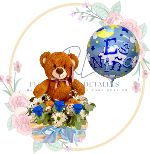 niños Nacimiento Boys