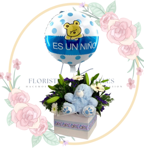 BOYS Nacimiento Oso Bebe