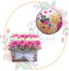 Box 12 Rosas