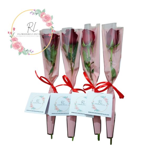 ROSA INDIVIDUAL CON CAPUCHON Y LAZO