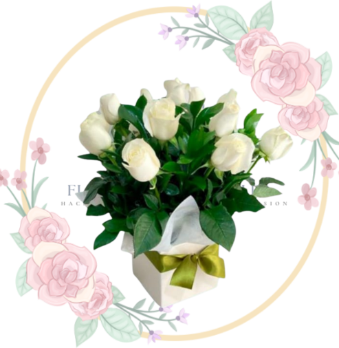 FUNEB Box Condolencias 15 Rosas