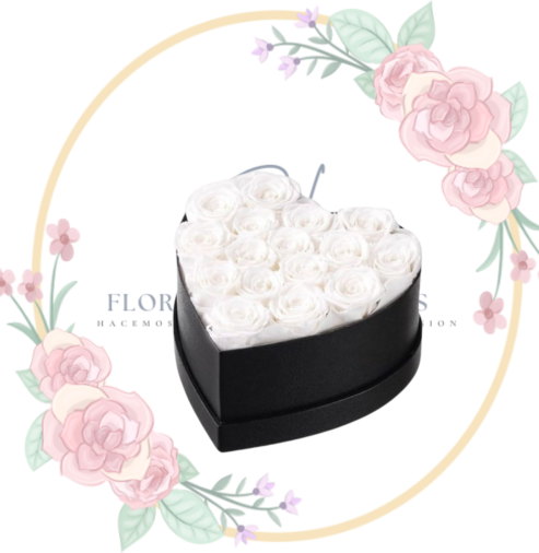 FUNEBRE (4) Box Corazón 16 Rosas"