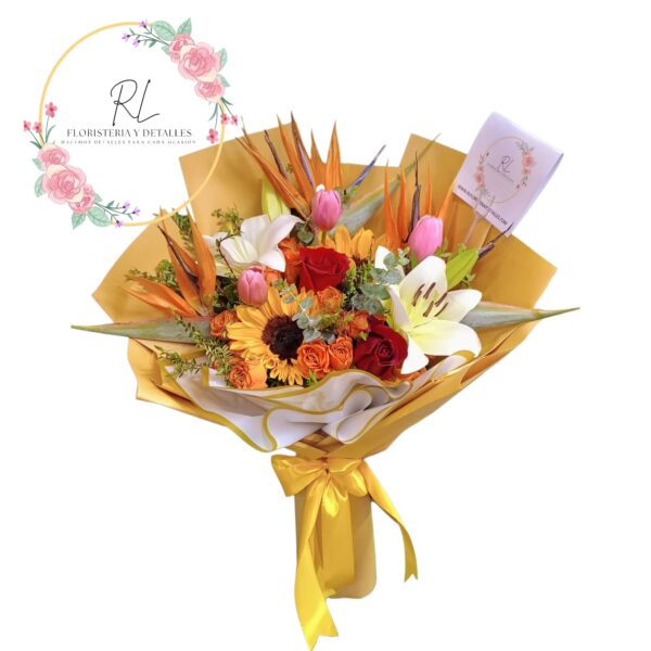 WhatsApp Image 2026-01-24 at 11.26.51 RAMO AVE DE PARAISO