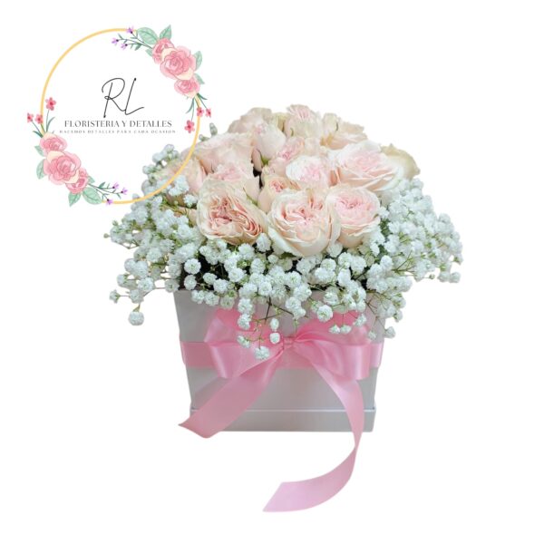 box borde de ilusion mini rosas